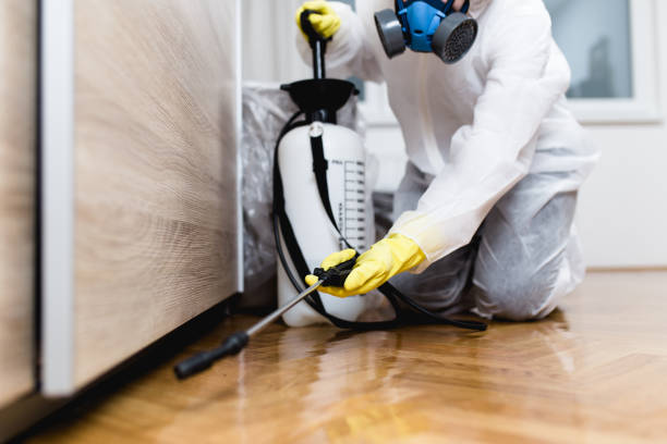Best Wasp Removal Services  in Woodville, MS