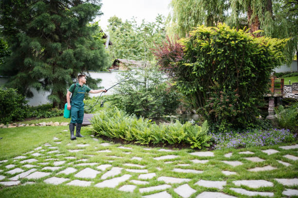 Best Mosquito Control Services  in Woodville, MS