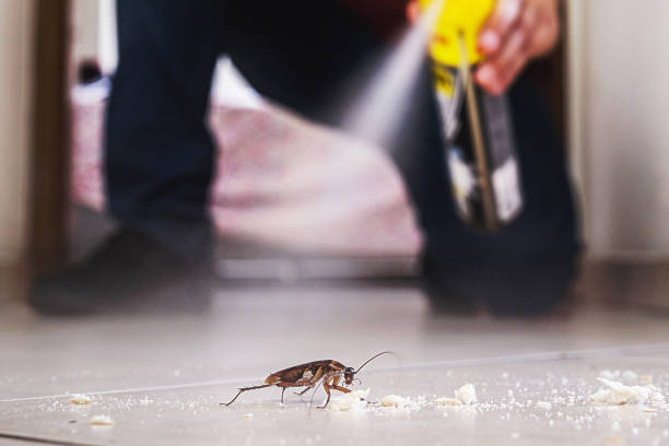 Best Cockroach Control Services  in Woodville, MS